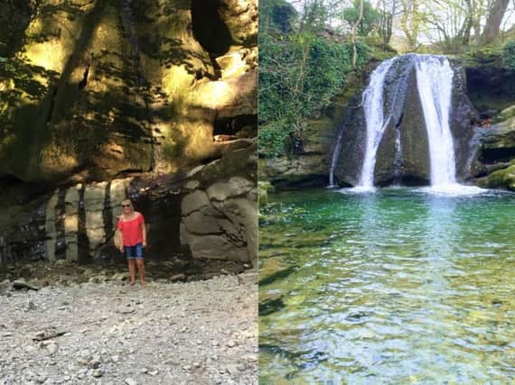Johnny's wife Michell Hartnell pictured in the empty pool (left), and an image of how the falls normally look (right)