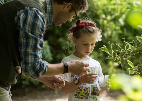 Wildlife detectives, one of a number of summer activities for families visiting the Nidderdale AONB, Pateley Bridge