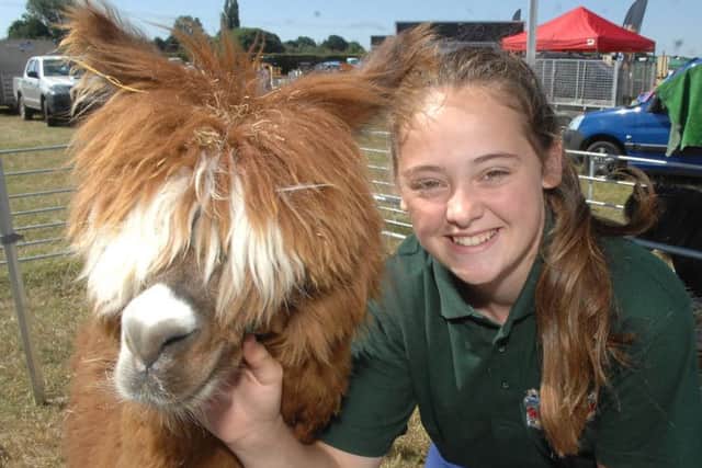 NAWN 1808051AM8 Tockwith Show. Sophie Hitchen of Brimham Rocks Adventure Farm  with one of her alpacas. (1808051AM8)