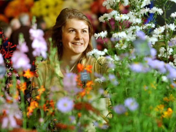 A Premier Award Winner at last year's Harrogate Autumn Flower Show - Alice Fitton from Holden Cliough Nurseries, Forest of Bowland.