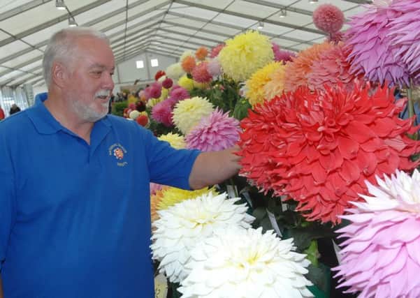 NADV 1809123AM9 Autumn Flower Show. Mark Pattenden with his prize winning dahlias.  (1809123AM9)
