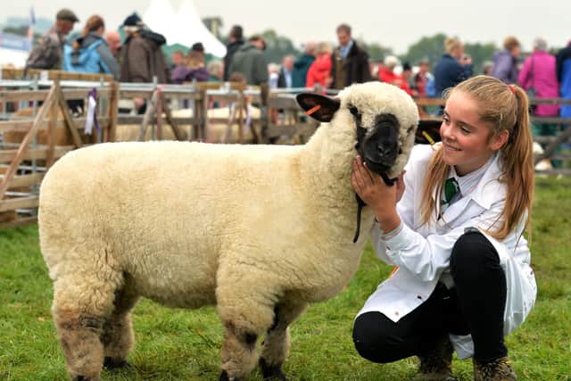 Nidderdale Show 2017.