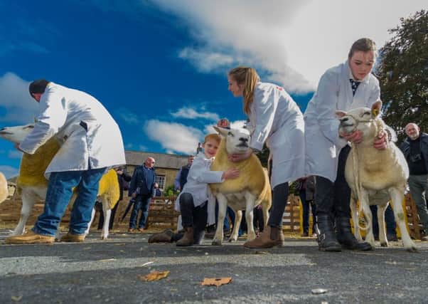 Masham Sheep Fair. Masham Market Place on Saturday and Sunday, September 29-30. www.mashamsheepfair.com