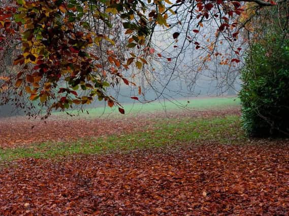 Treasured spot - Part of Oval Gardens in Harrogate