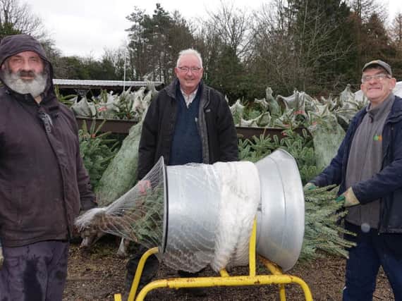 Treemendous Effort! Pictured from left are service user Adrian Kitchen, Rob Goodridge, and service user Stephen Green at Ripon Walled Garden