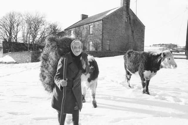 Hannah worked the land of Low Birk Hatt farm in Baldersdale, alone from her early thirties