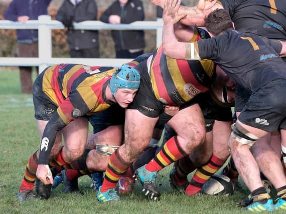 Harrogate RUFC's forwards turn the screw during their home win over Kendal. Picture: Richard Bown