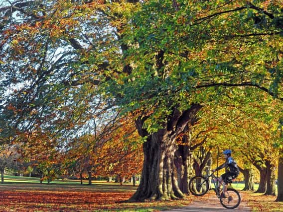 Cycling on the Stray in Harrogate. Picture: Tony Johnson.