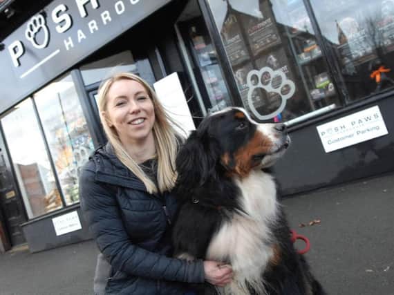 "We're not the only ones affected" - Michaela Stothard of Posh Paws of Leeds Road, Harrogate.(1801231AM2)