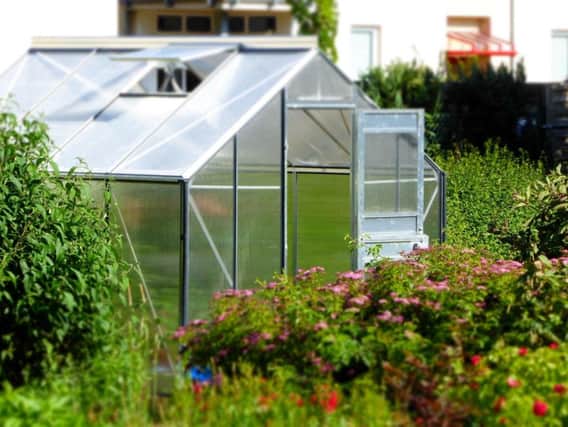 How to keep a greenhouse
