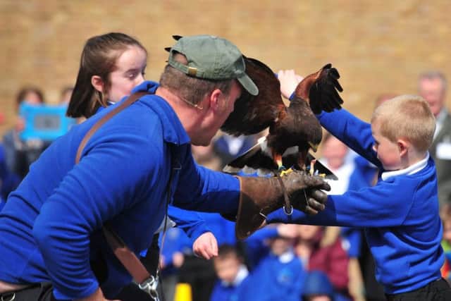 Moorside pupils were enthralled by the birds of prey. Picture: Gerard Binks.