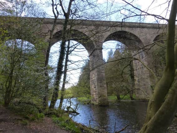 Protest walk by The Woodland Trust - Nidd Gorge viaduct between Harrogate and Knaresborough.