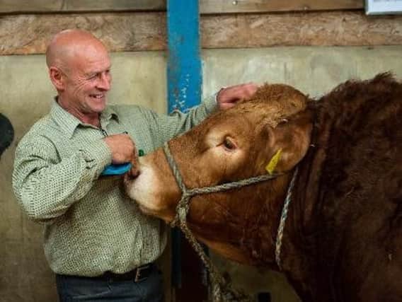 Farmer William Barron, 61, was trampled by his prize bull Barrons Oslo at the Great Yorkshire Show on Tuesday