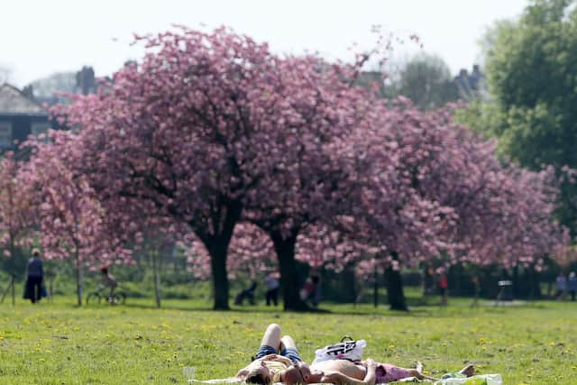 Temperatures are set to soar in Harrogate this week.