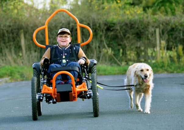 28/10/14   Tom Dye from Killinghall near Harrogate  in his new all terrain wheelchair taking  his dog Harvey for a walk (GL1003/83e)