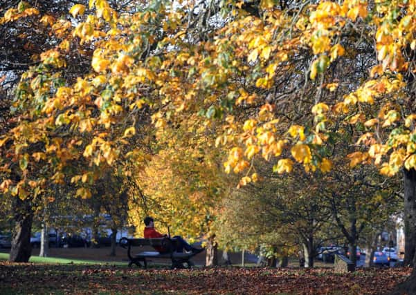 An autumnal scene on the Stray in Harrogate. Picture by: Gerard Binks.