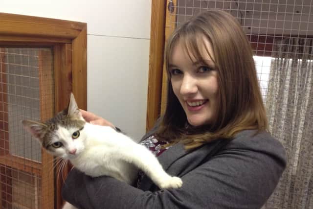 RSPCA in Harrogate are appealing for cat cuddlers