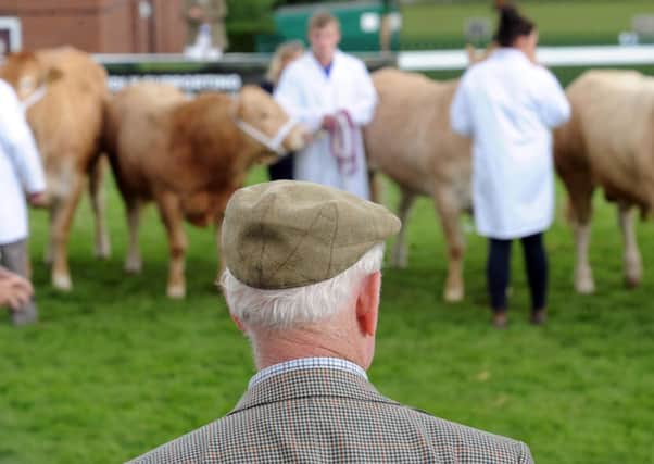 The Great Yorkshire Show, Harrogate. Picture by Simon Hulme
