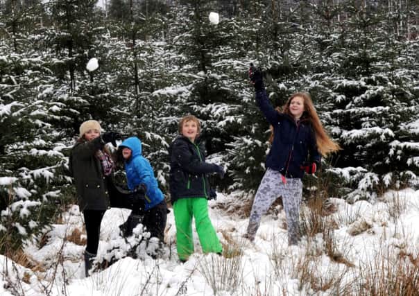 180114  Four friends from Harrogate enjoy a snowball fight at Stanburn Forest near Beckwithshaw l to r... Meg Lazenby 12, Charley Swales 10,Finlay Lazenby 9 and Ellie Swales 13 .(GL100457a)