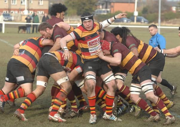 Harrogate Rugby against Ampthill. (1502072AM1)