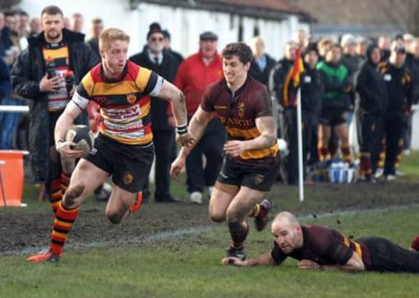 Harrogate Rugby's Callum Irvine against Ampthill (1502072AM4)