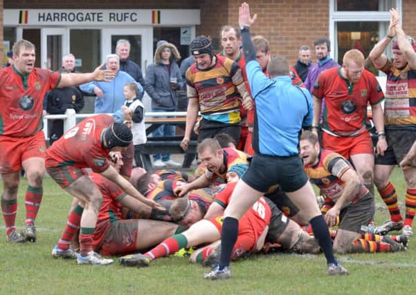 Harrogate celebrating one of their tries on Saturday (Richard Bown)