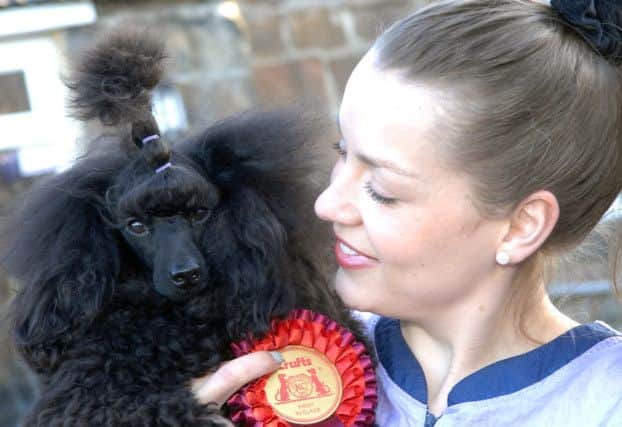 Verity Watts with her Crufts winning 14 months old Miniature Poodle Angelsky Ivy Queen, pet name Alice. (1503107AM4)
