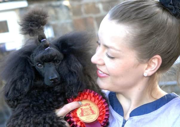 Verity Watts with her Crufts winning 14 months old Miniature Poodle Angelsky Ivy Queen, pet name Alice. (1503107AM4)