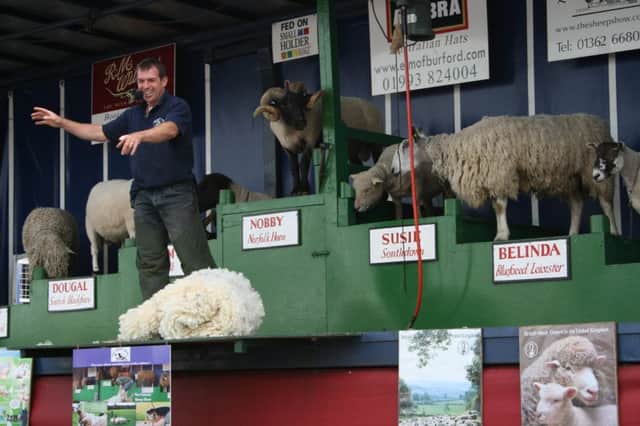 The Lightwater Valley Country Festival - The Sheep Show will be part of a new country festival for families taking place next month at Lightwater Valley theme park near Ripon.