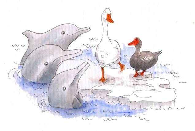 Dolphins illustration by Fiona Odle from Pamela Currie's A Fishy Tale - The Amazing Adventures of Gus adn Barney.