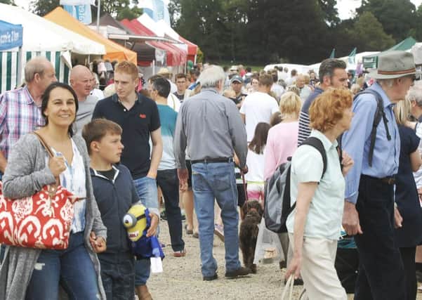 A busy Ripley Show