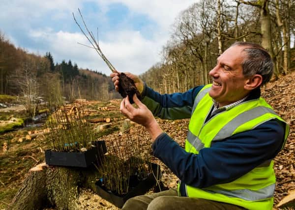 Geoff Lomas, Yorkshire Waters recreation and catchment manager, plants native trees including oak and rowan.