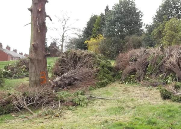 Trees cut down at the former Ripon College site (s)