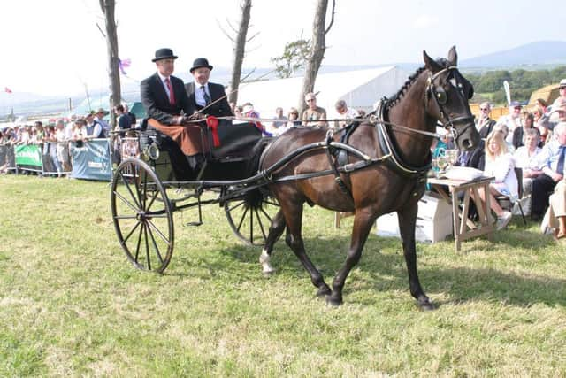 Pony and trap rides could be introduced to Harrogate town centre as part of a new cash generating scheme.