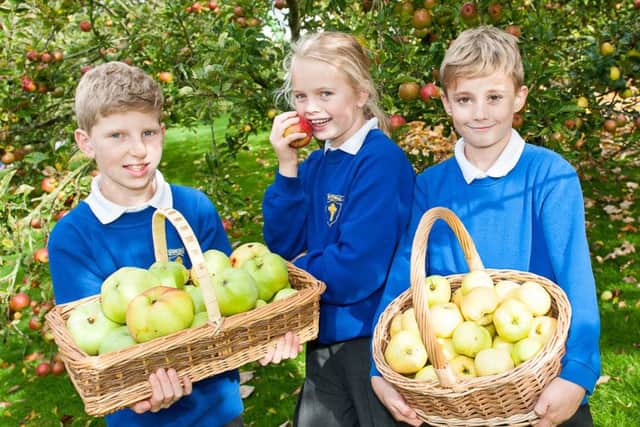 L-R Will Alexander (10), Rose Jefferson (10) and Roscoe Waddington-Kelly (9) enjoying National Apple Day at the Great Yorkshire Showground.