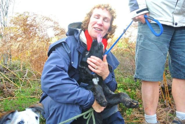 Paddy the spaniel is reunited with his delighted owner.