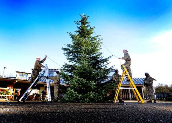 Members of the 21 Royal Engineers Regiment from Claro Barracks in Ripon helping to erect this year's Christmas Tree at the World Heritage Site Fountains Abbey & Studley Royal.