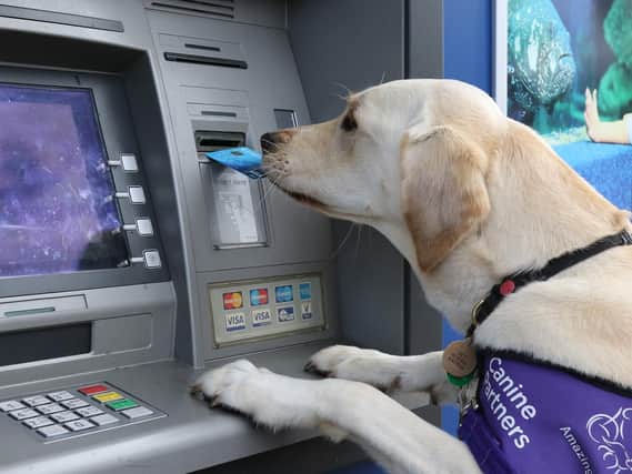 May, the Canine Partner dog gets cash from an ATM.