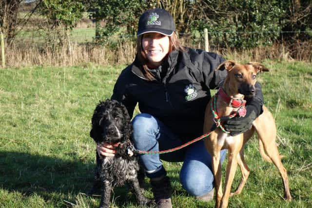 Nicki Fillingham, founder of Kirkby Malzeard-based dog walking, puppy care and home pet care service GoDog, with two of her charges. (S)
