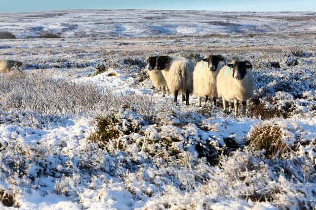 Danby village in the the North Yorkshire Moors was under a blanket of snow this morning with a temperature of -1. Picture: Ross Parry Agency