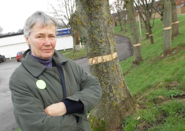 Green party campaigner Shan Oakes with the damaged trees at the former Co-op site in Chain Lane. (1601103AM1)