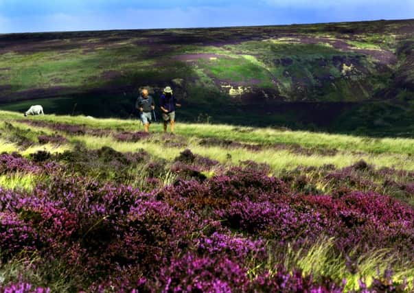 Farmers face a "leap into the dark" if a yes vote is gained.
Pictured: Blakey Ridge at Blakey Junction on the North York Moors by Gary Longbottom
