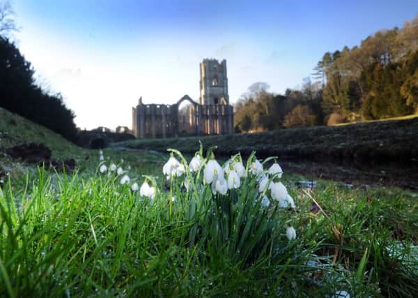 Fountains Abbey