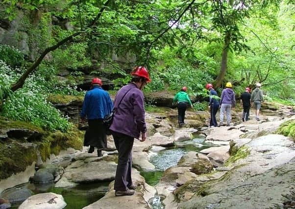 Family Day Adventure - make your way along a gorge in the Harrogate and District area.