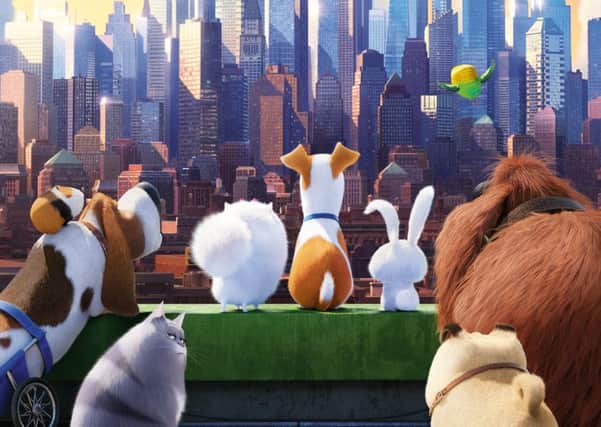 The Secret Life of Pets showing at Harrogate Odeon