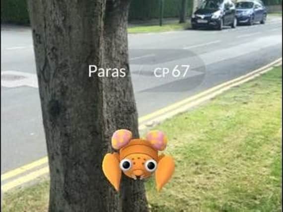Pokemon Go being played at the hospital - image courtesy of Harrogate NHS FT