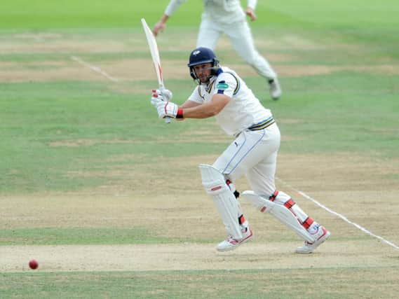 Tim Bresnan leads Yorkshire's fight to get up to 350