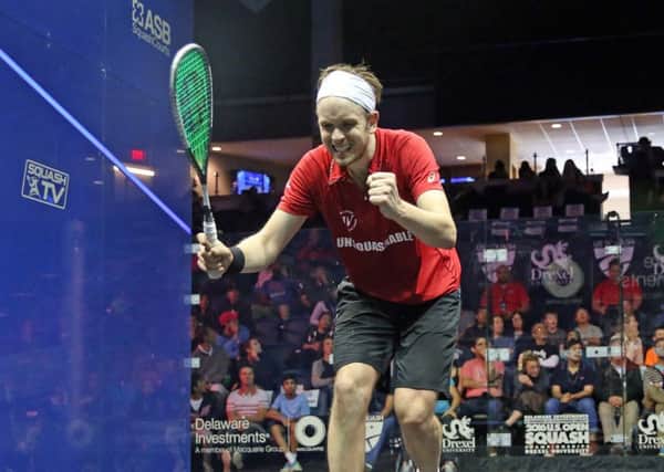Yorkshire's James Willstrop celebrates his victory over Mohamed Abouelghar. Picture: squashpics.com