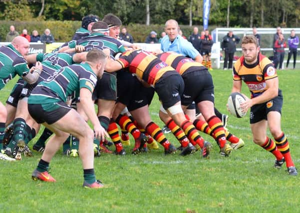 Harrogate RUFC host local rivals Wharfedale on Saturday. Picture: Richard Bown