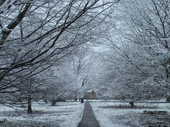 Snow in Harrogate (s)